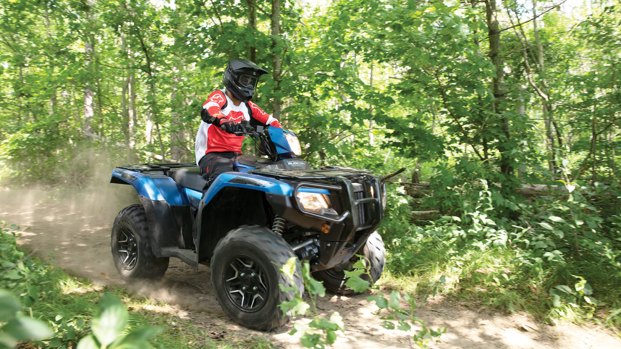Un cavalier sur un sentier partiellement ensoleillé dans la forêt sur une Honda Rubicon