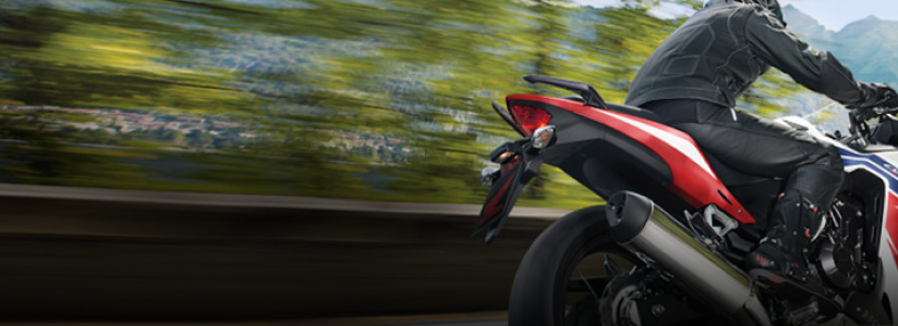 Un cavalier sur une moto Honda avec un fond flou d'arbres