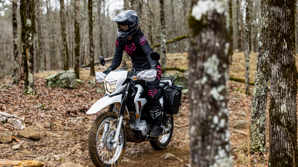 Un cavalier dans les bois sur une honda xr150l