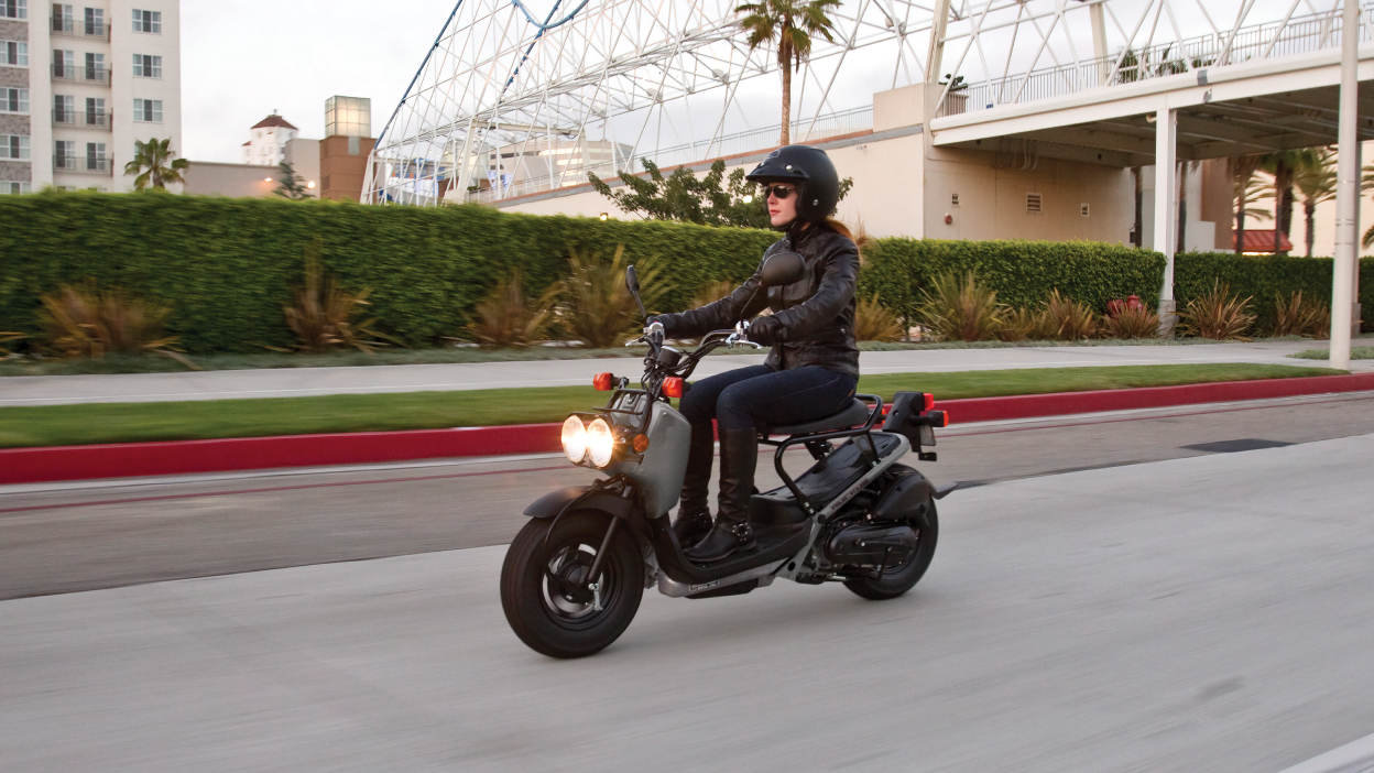 Un cavalier sur un chahut