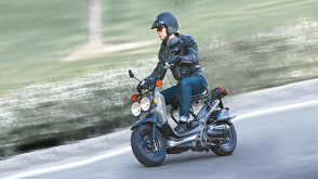 Un cavalier sur un chahut en milieu urbain