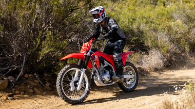 Young rider and dirt road. Front facing. Woodland background.